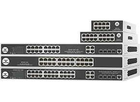 SOLDIER-IE2000 switches