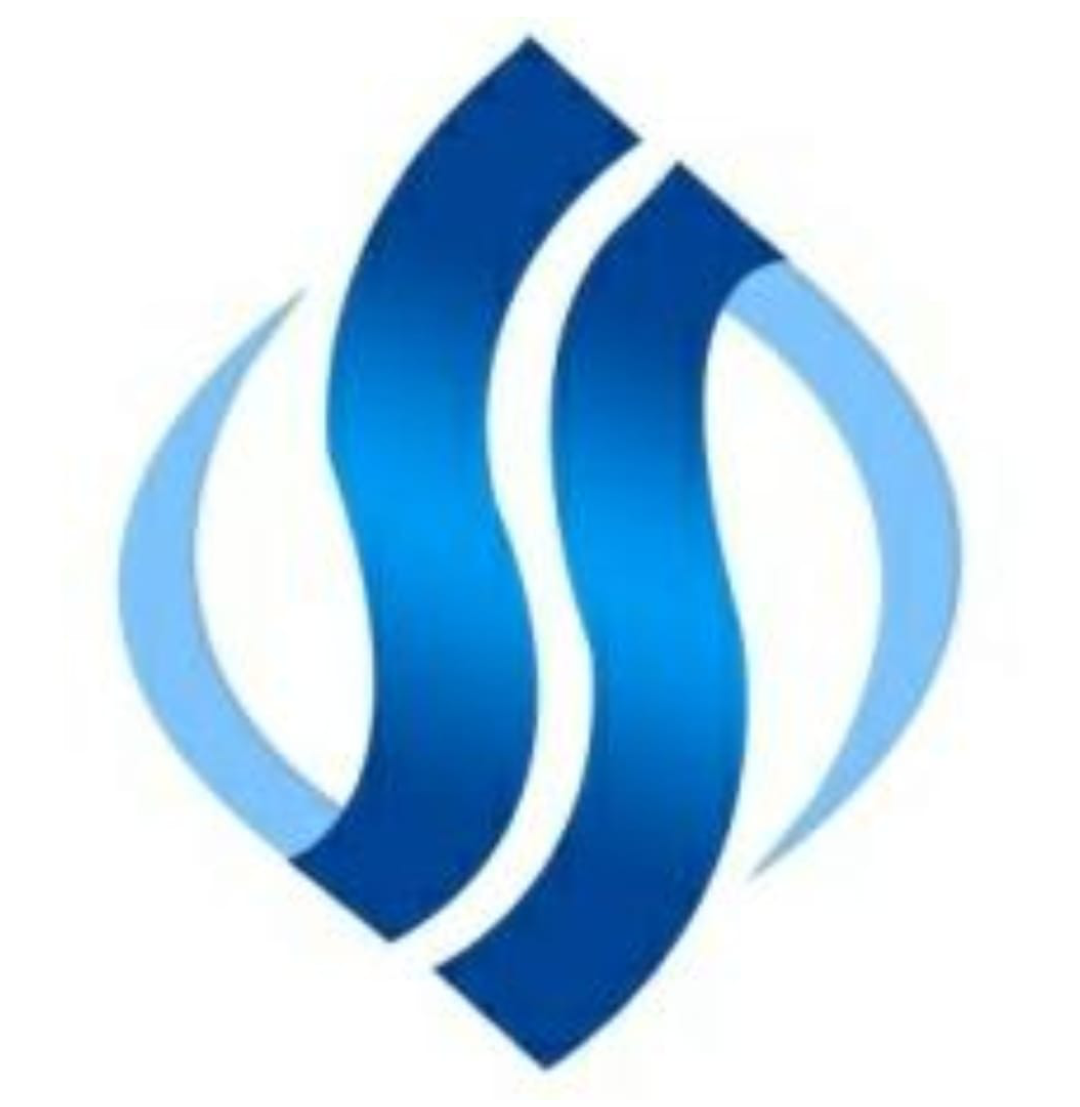 SPACE STAR TRAD. LLC