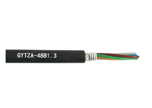 CAB-GYTZA-48B1.3