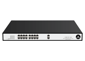 C1000-16P+2GE