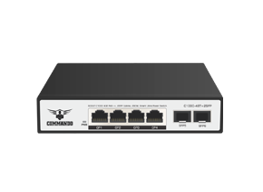 C1000-4BT+2SFP