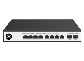 C1000-8GBT+2SFP