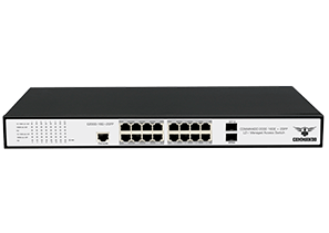 C2000-16G+2SFP