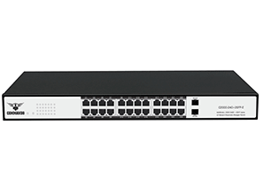 C2000-24G+2SFP-E