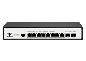 C2000-8G+2SFP