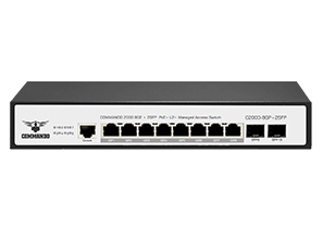 C2000-8GP+2SFP