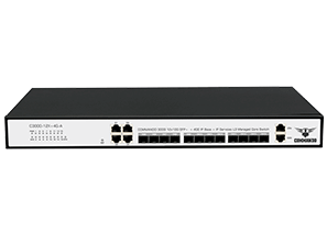 C3000-12X+4G-A