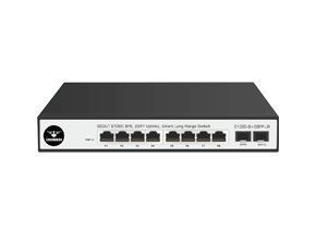 E1000-8+2SFP-LR