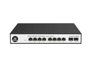 E1000-8+2SFP